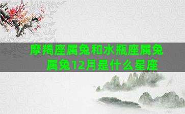 摩羯座属兔和水瓶座属兔 属兔12月是什么星座